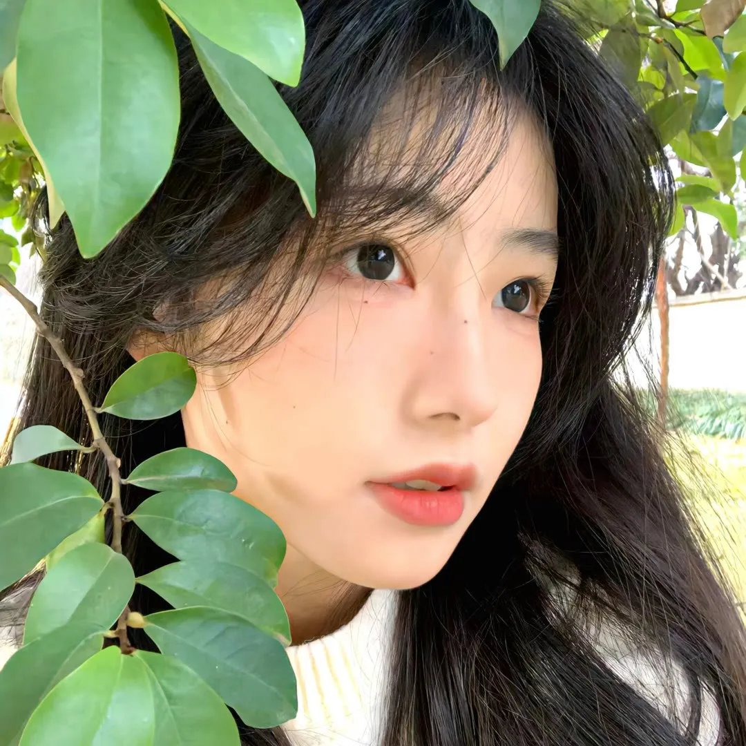 热带风暴